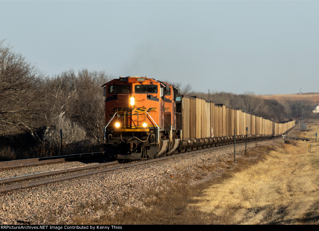 BNSF 8560